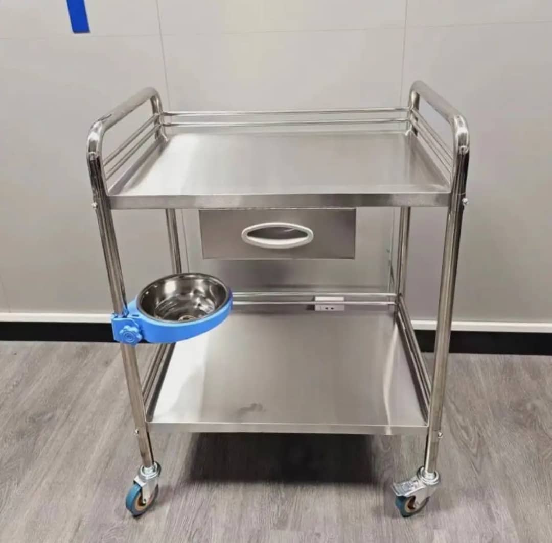 Double Layer Stainless Trolley